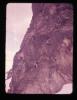 Alpine_389-Thumbnail Image.jpg