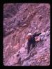 Alpine_396-Thumbnail Image.jpg