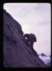 Alpine_397-Thumbnail Image.jpg