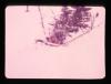 Alpine_402-Thumbnail Image.jpg
