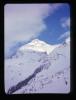 Alpine_409-Thumbnail Image.jpg