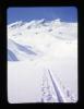 Alpine_413-Thumbnail Image.jpg