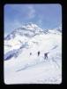Alpine_417-Thumbnail Image.jpg