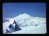 Alpine_418-Thumbnail Image.jpg