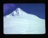 Alpine_419-Thumbnail Image.jpg