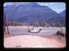 Alpine_433-Thumbnail Image.jpg