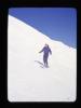 Alpine_439-Thumbnail Image.jpg