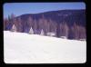 Alpine_440-Thumbnail Image.jpg