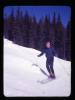 Alpine_442-Thumbnail Image.jpg