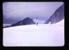 Alpine_470-Thumbnail Image.jpg
