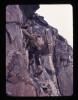 Alpine_489-Thumbnail Image.jpg