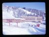Alpine_491-Thumbnail Image.jpg
