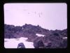 Alpine_496-Thumbnail Image.jpg