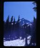 Alpine_500-Thumbnail Image.jpg