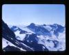 Alpine_502-Thumbnail Image.jpg