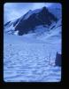 Alpine_511-Thumbnail Image.jpg