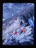 Alpine_515-Thumbnail Image.jpg
