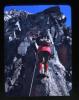 Alpine_519-Thumbnail Image.jpg
