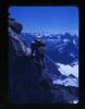 Alpine_523-Thumbnail Image.jpg