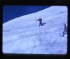 Alpine_529-Thumbnail Image.jpg