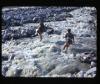 Alpine_532-Thumbnail Image.jpg