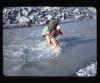 Alpine_533-Thumbnail Image.jpg
