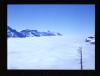 Alpine_537-Thumbnail Image.jpg