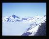 Alpine_538-Thumbnail Image.jpg