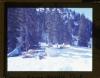Alpine_541-Thumbnail Image.jpg