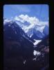 Alpine_545-Thumbnail Image.jpg