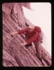 Alpine_570-Thumbnail Image.jpg