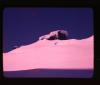 Alpine_571-Thumbnail Image.jpg