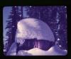 Alpine_573-Thumbnail Image.jpg