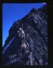 Alpine_587-Thumbnail Image.jpg