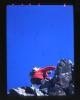 Alpine_590-Thumbnail Image.jpg