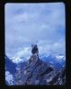 Alpine_599-Thumbnail Image.jpg