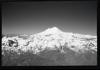 Alpine_603-Thumbnail Image.jpg