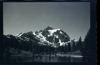 Alpine_609-Thumbnail Image.jpg