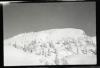 Alpine_611-Thumbnail Image.jpg