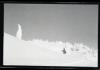 Alpine_612-Thumbnail Image.jpg
