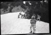 Alpine_615-Thumbnail Image.jpg