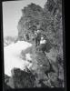 Alpine_617-Thumbnail Image.jpg