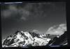 Alpine_623-Thumbnail Image.jpg