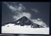 Alpine_629-Thumbnail Image.jpg