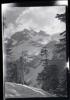Alpine_632-Thumbnail Image.jpg