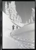 Alpine_658-Thumbnail Image.jpg