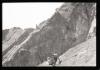 Alpine_660-Thumbnail Image.jpg