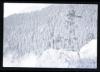 Alpine_665-Thumbnail Image.jpg