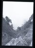 Alpine_666-Thumbnail Image.jpg