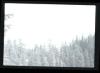 Alpine_682-Thumbnail Image.jpg